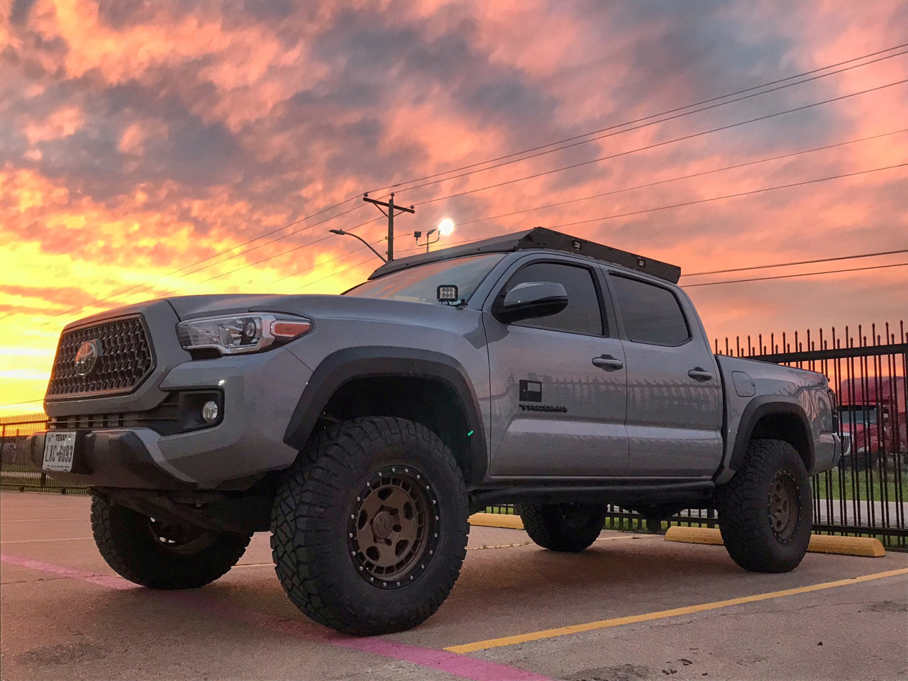 Light-Ventures: Ocala National Forest, Customer Feature and More