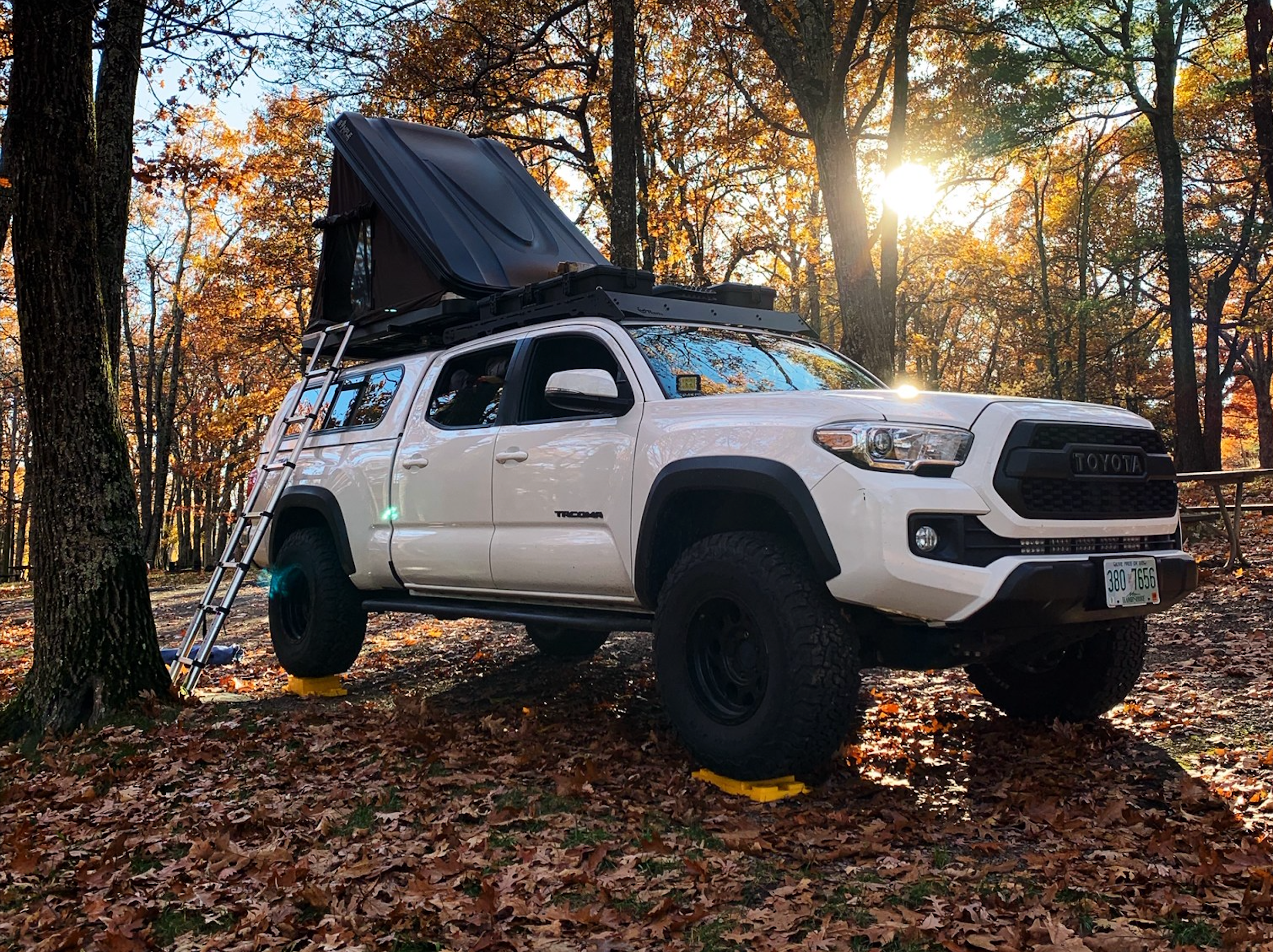 Winter's in Full Effect: February Newsletter