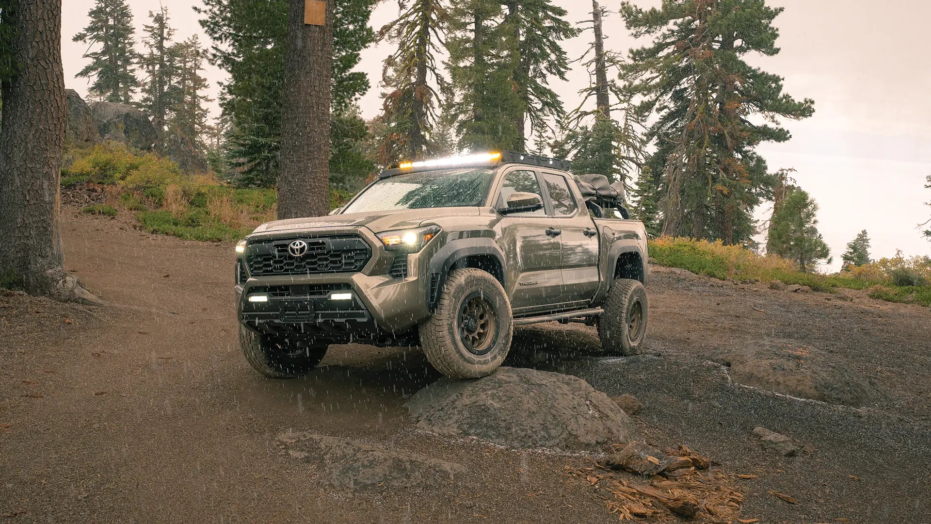 Trail Edition vs Step Edition: Cali Raised Rock Sliders