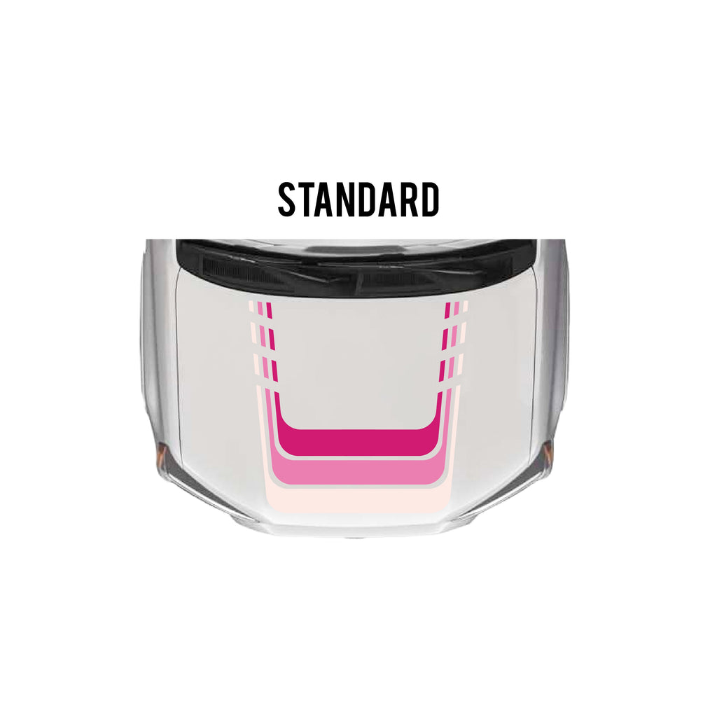 2010-2024 4Runner Checkered Stripe Kit